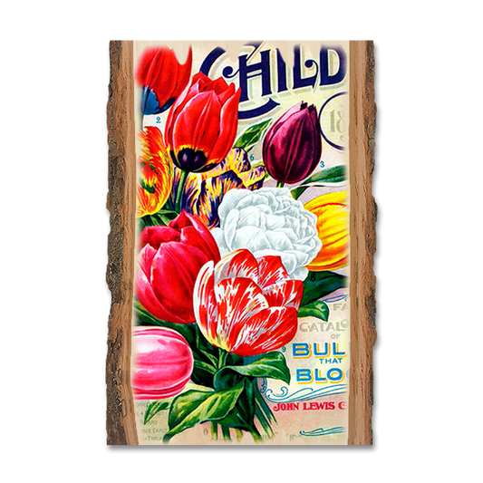 Magnet: Live Edge - Child's Bulbs