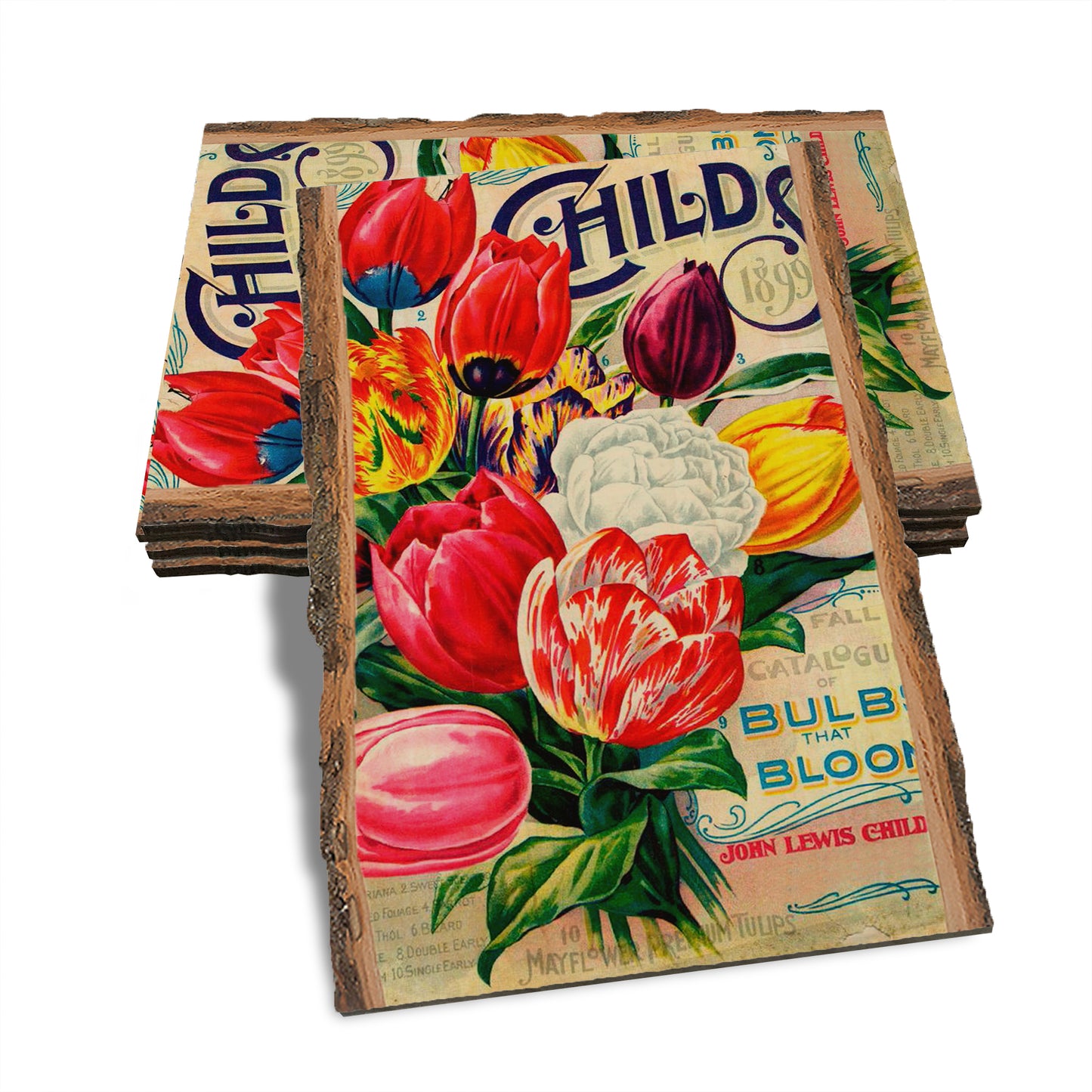 Cheers Beers - Live Edge Live Edge Postcard (5pk // $2.80ea)