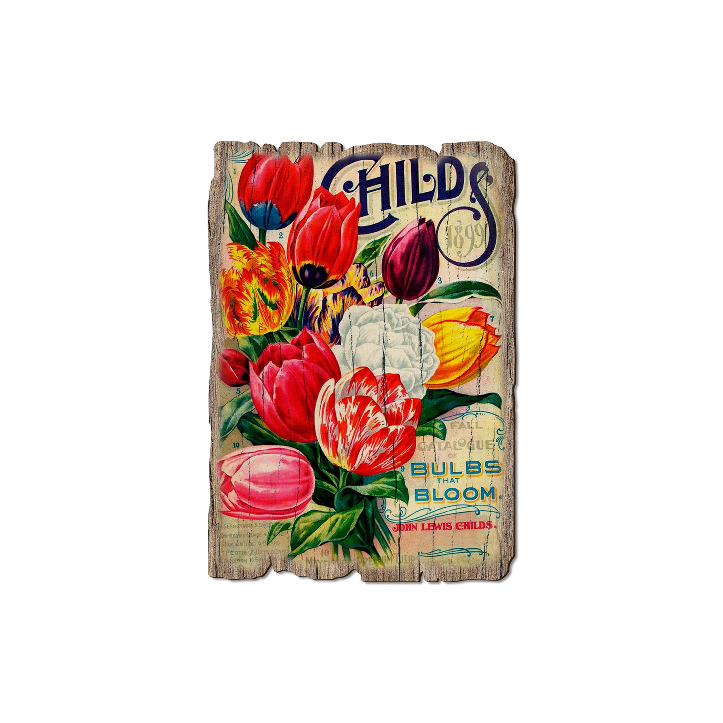 Childs Bulbs - Rustic Edge Postcards & Magnets Rustic Edge Magnet (5pk // $2.80ea)