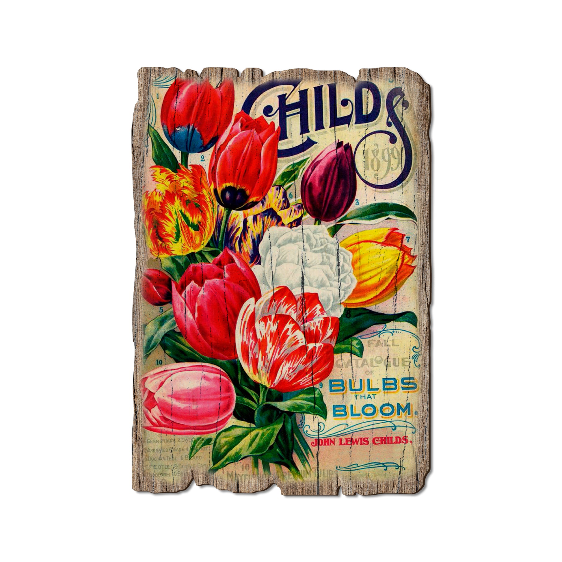 Childs Bulbs - Rustic Edge Postcards & Magnets Rustic Edge Postcard (5pk // $2.80ea)