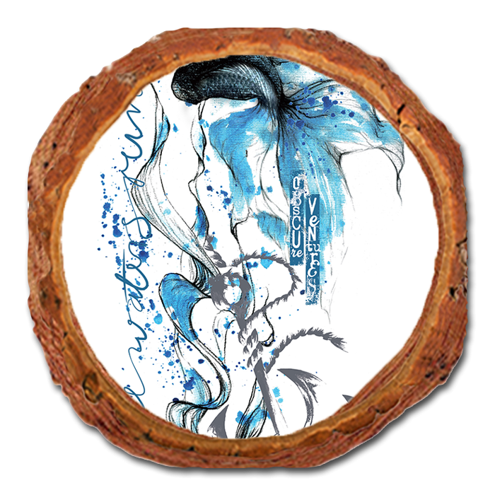 Coaster: Live Edge - Colorful Blue Fish (Pack of 5)