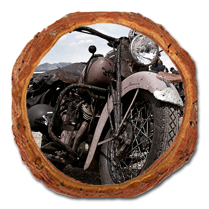 Coaster: Live Edge - Classic Ride