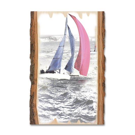 Greeting Card: Live Edge - Down Wind Run