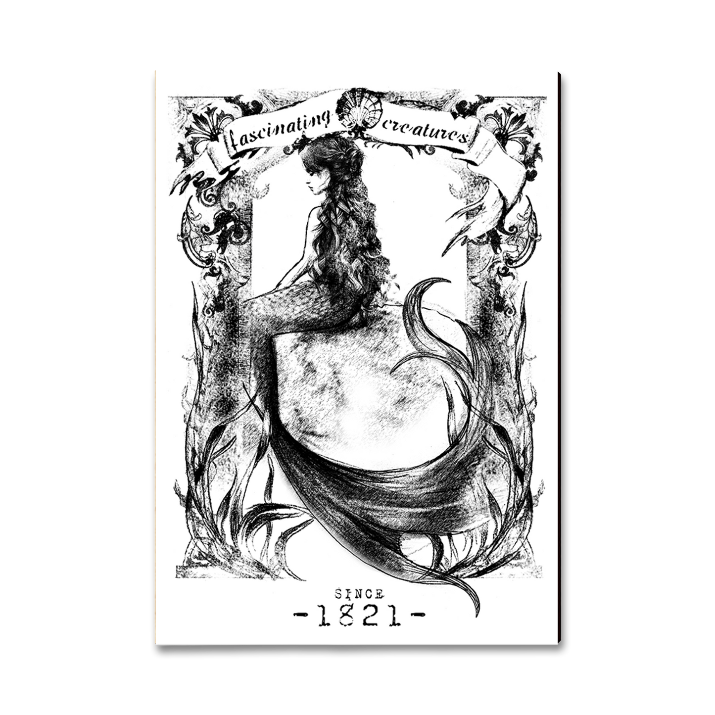 Ornament: Classic Edge - Fascinating Creatures Mermaid
