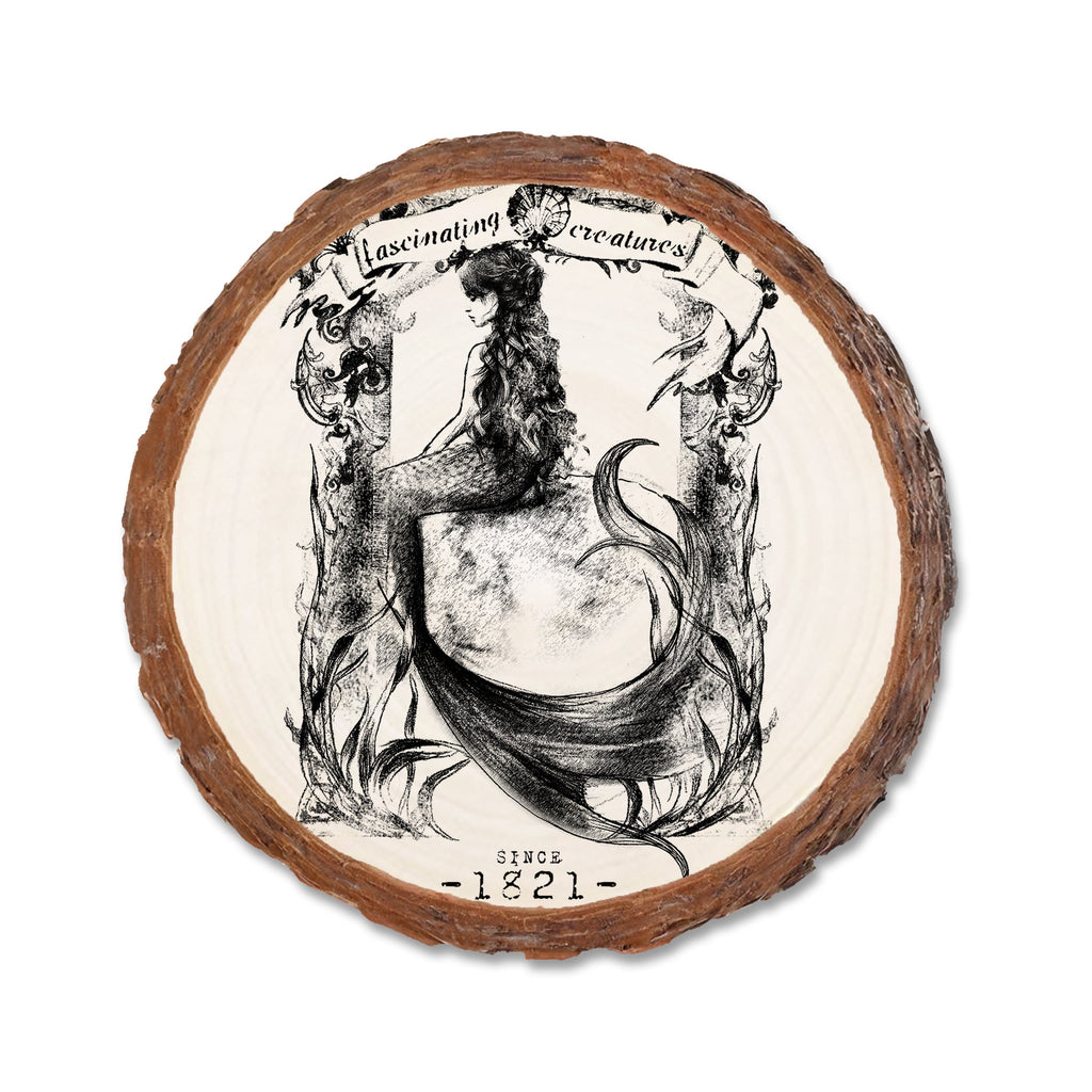 Fascinating Creature - live-edge - Live Edge Live Edge Coaster (5pk // $2.80ea)