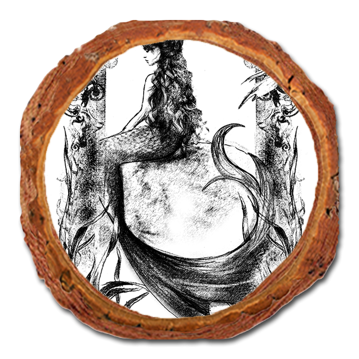 Coaster: Live Edge - Fascinating Creatures Mermaid (Pack of 5)