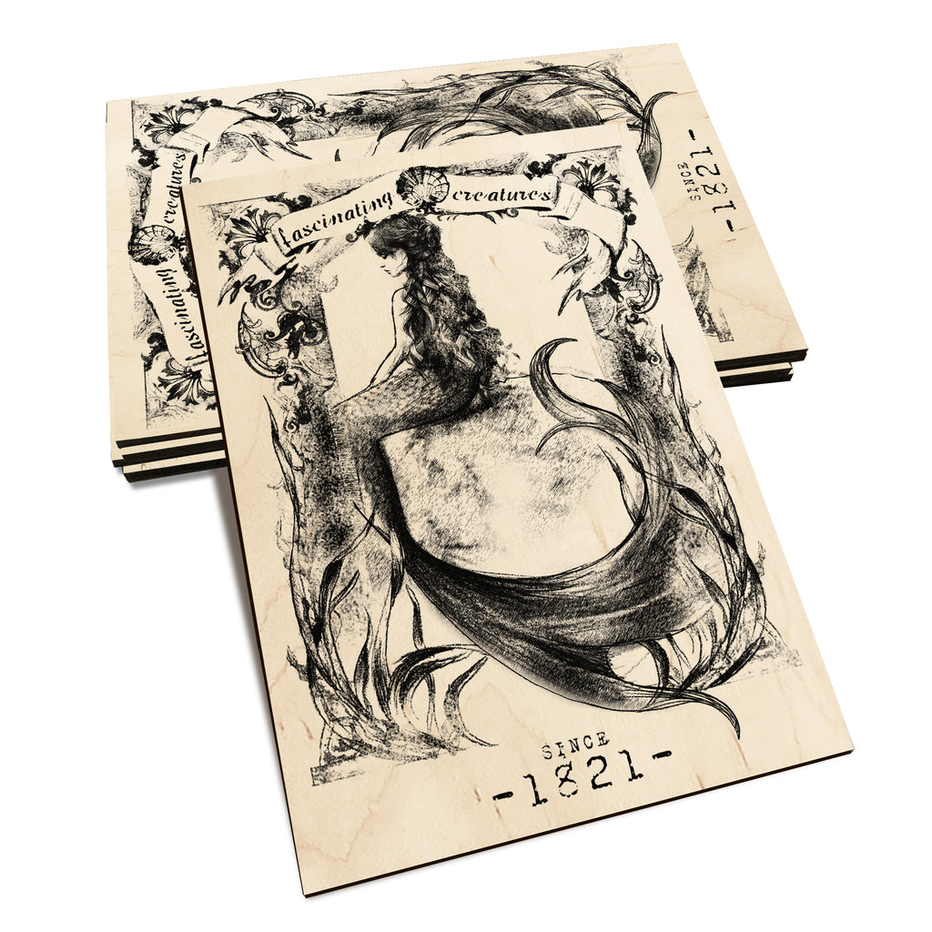 Fascinating Creatures Mermaid - Classic Edge Classic Edge Postcard (5pk // $2.80ea)