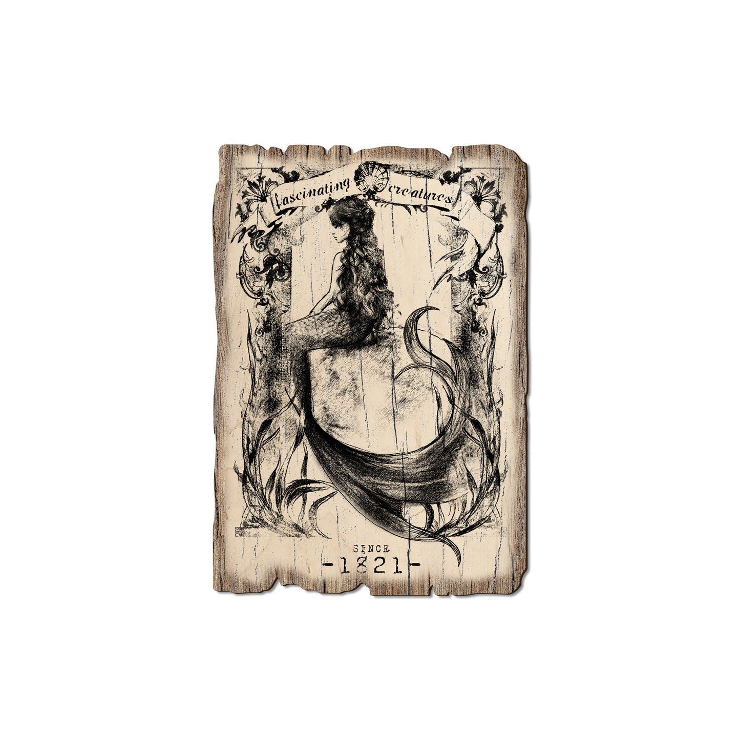 Fascinating Creatures Mermaid - Rustic Edge Postcards & Magnets Rustic Edge Magnet (5pk // $2.80ea)
