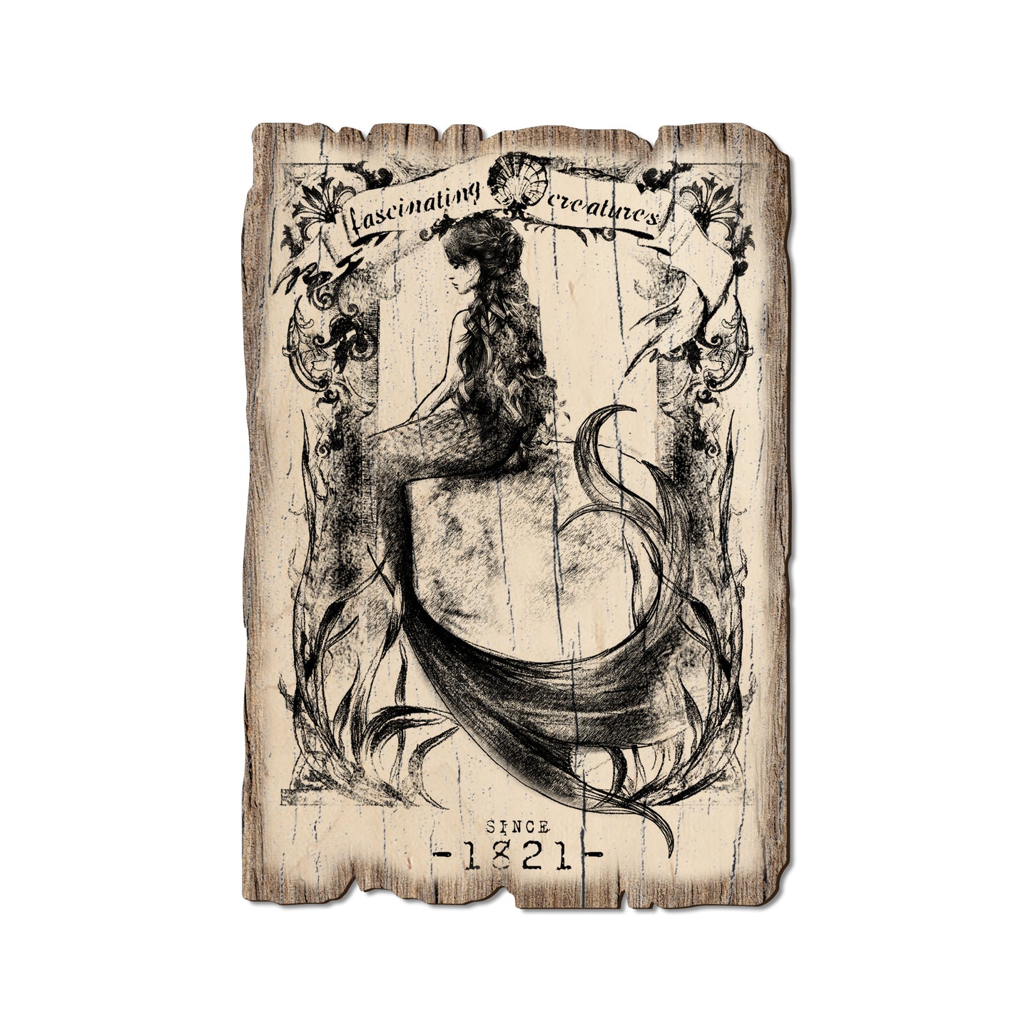 Fascinating Creatures Mermaid - Rustic Edge Postcards & Magnets Rustic Edge Postcard (5pk // $2.80ea)