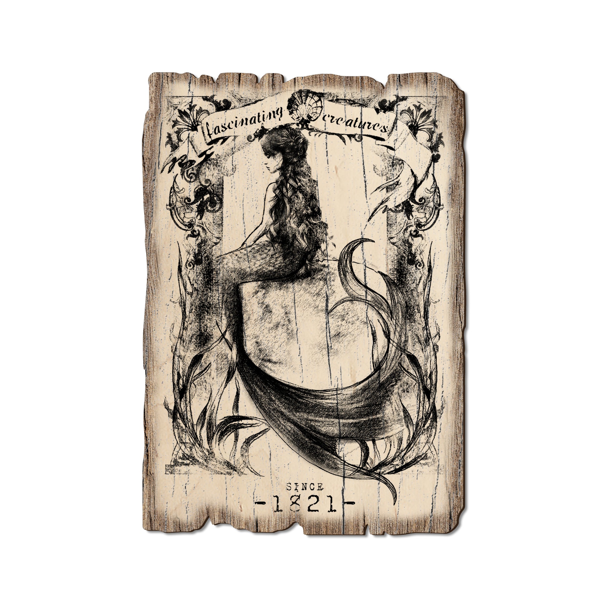 Fascinating Creatures Mermaid - Rustic Edge Postcards & Magnets Rustic Edge Postcard (5pk // $2.80ea)