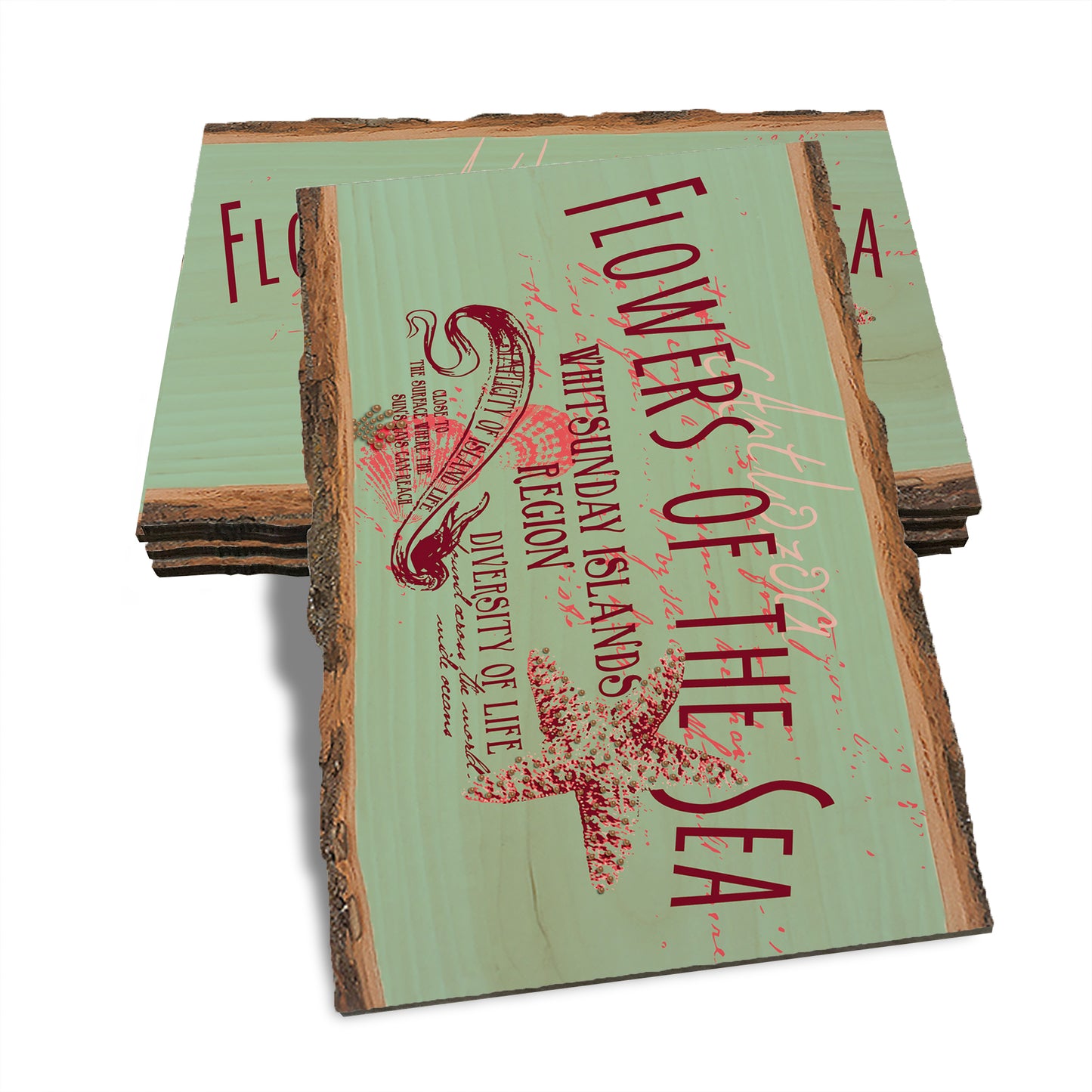 Our Strength - Live Edge Live Edge Postcard (5pk // $2.80ea)