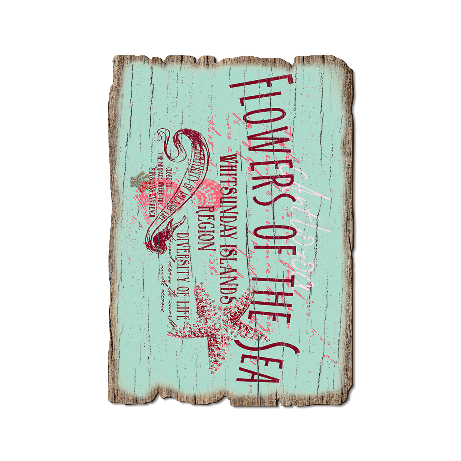 Greeting Card: Weathered Edge - Flowers Of Sea (Pack of 5)