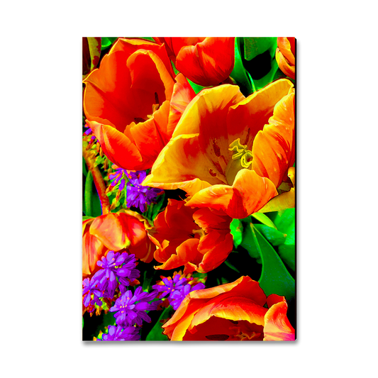 Magnet: Classic Edge - Full Bloom