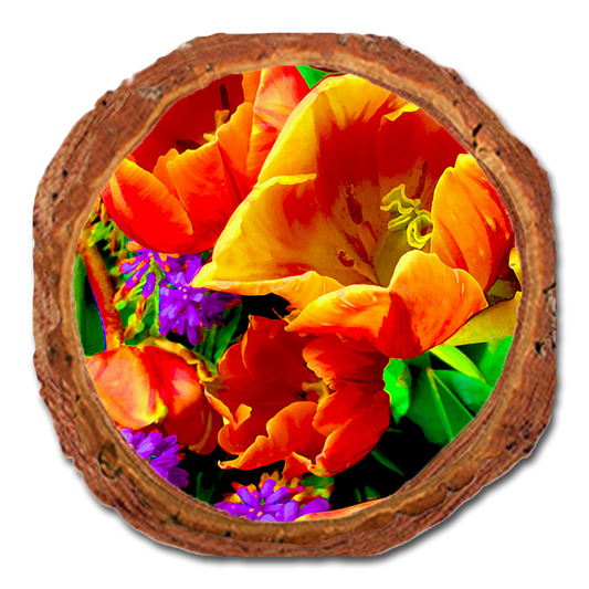 Coaster: Live Edge - Full Bloom (Pack of 5)