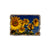 Sunny Bunch - Rustic Edge Postcards & Magnets Rustic Edge Magnet (5pk // $2.80ea)