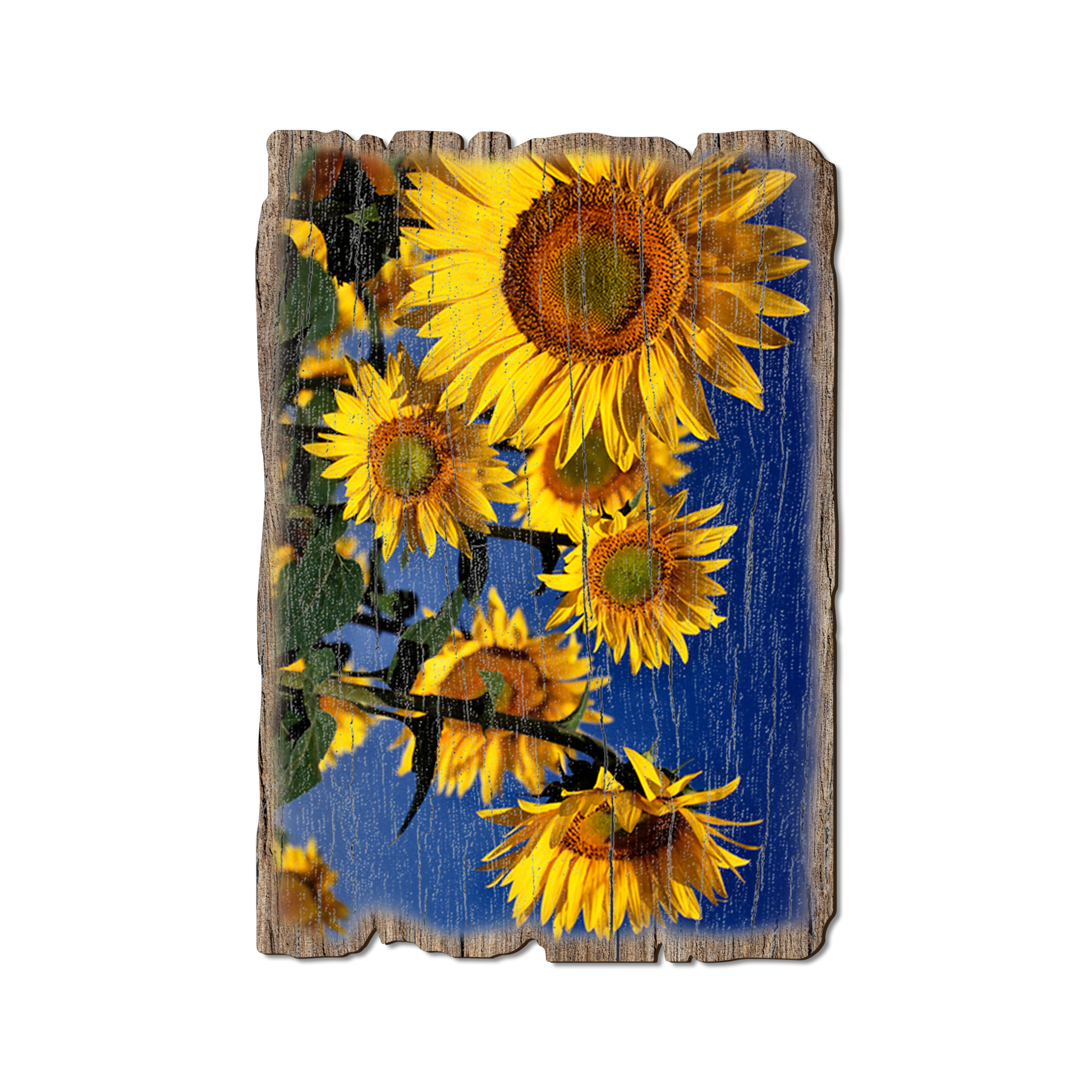 Ornament: Weathered Edge - Sunny Bunch