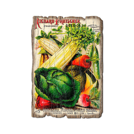 Greeting Card: Weathered Edge - Richard Frotscher