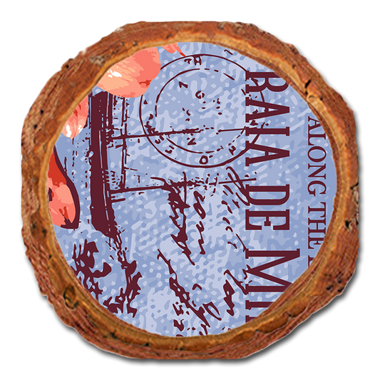 Coaster: Live Edge - Strolling Along Esplanades (Pack of 5)