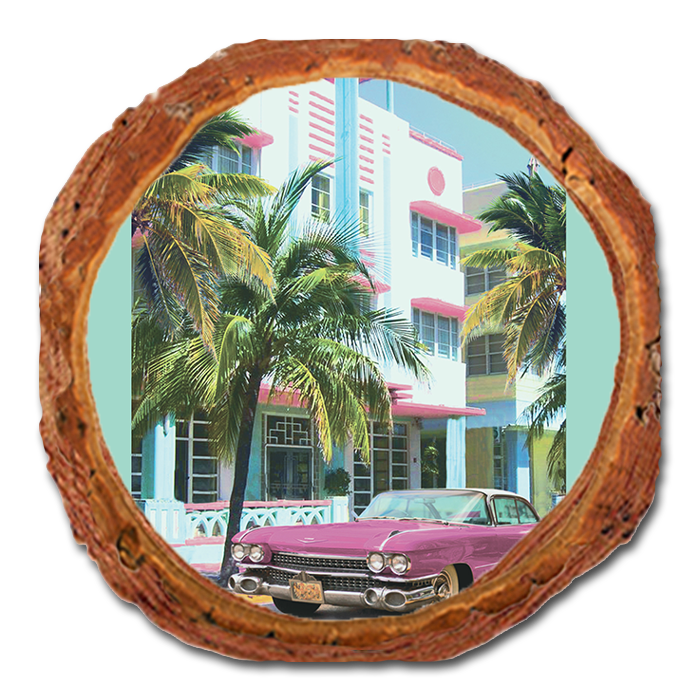 Coaster: Live Edge - South Florida Keys