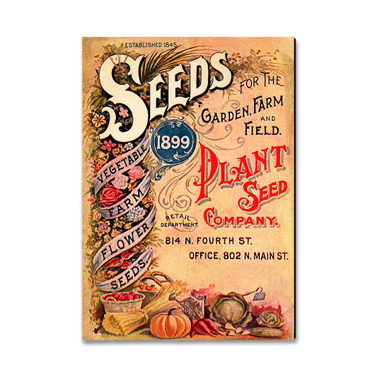Greeting Card: Classic Edge - Vintage Seeds