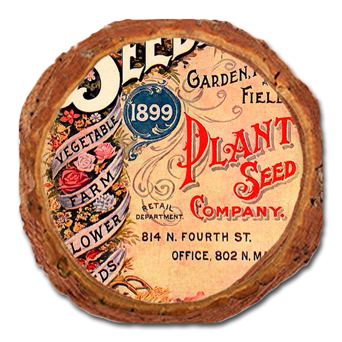 Coaster: Live Edge - Vintage Seeds
