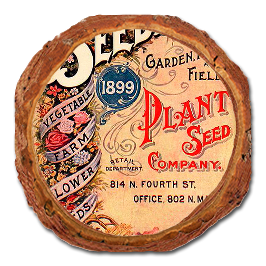 Coaster: Live Edge - Vintage Seeds