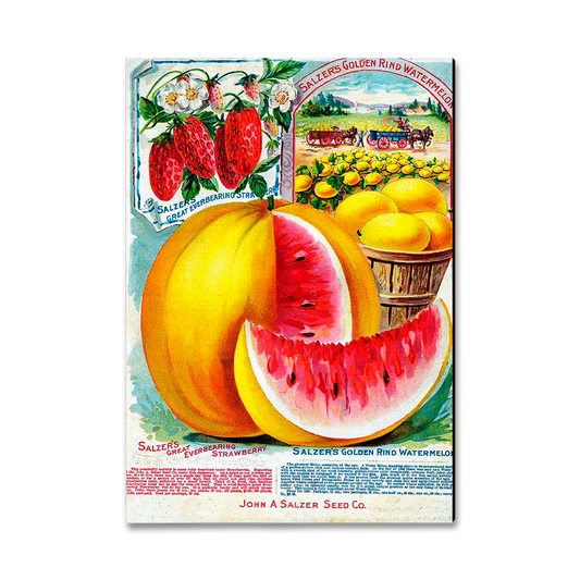 Greeting Card: Classic Edge - Salzer Mellons