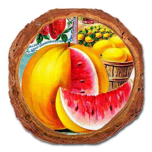 Coaster: Live Edge - Salzer Mellons