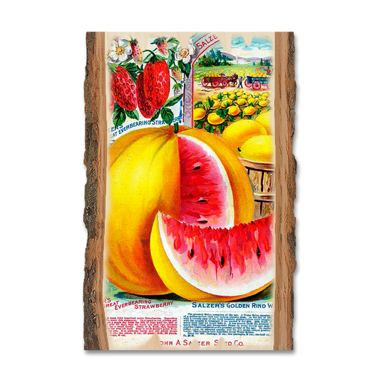 Magnet: Live Edge - Salzer Mellons