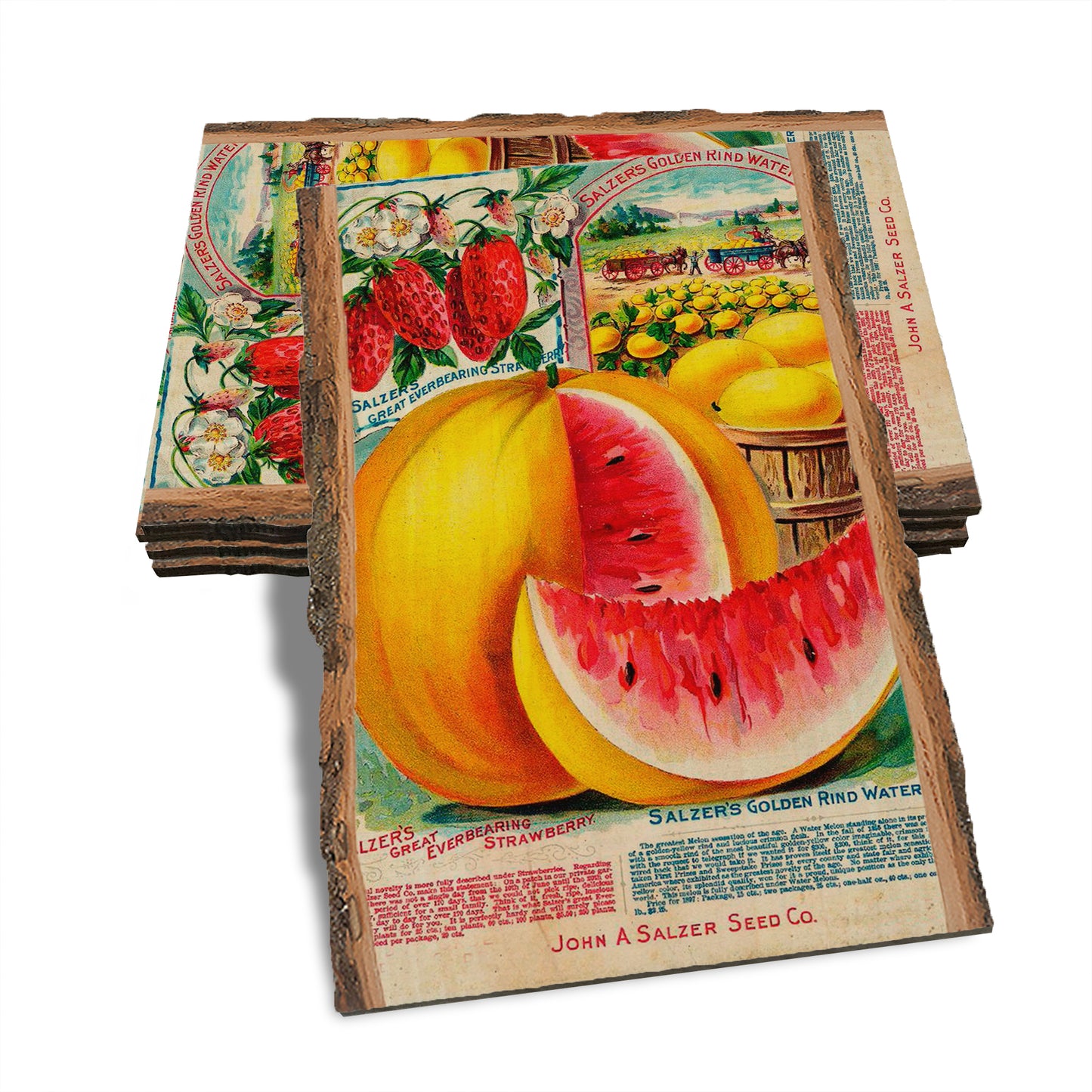 Strengthens Me - Live Edge Live Edge Postcard (5pk // $2.80ea)