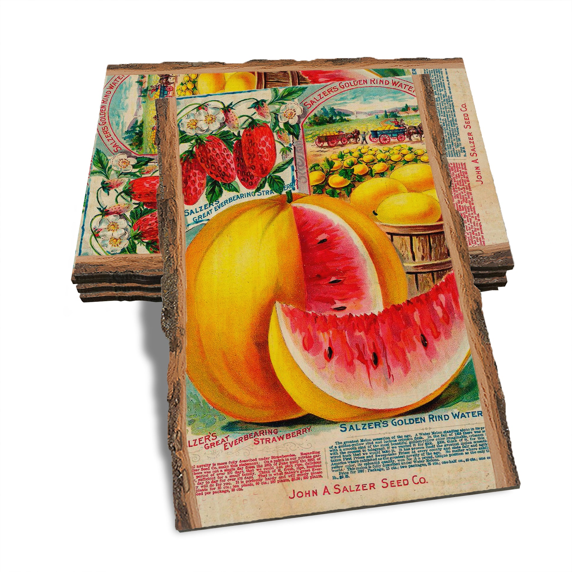 Strengthens Me - Live Edge Live Edge Postcard (5pk // $2.80ea)