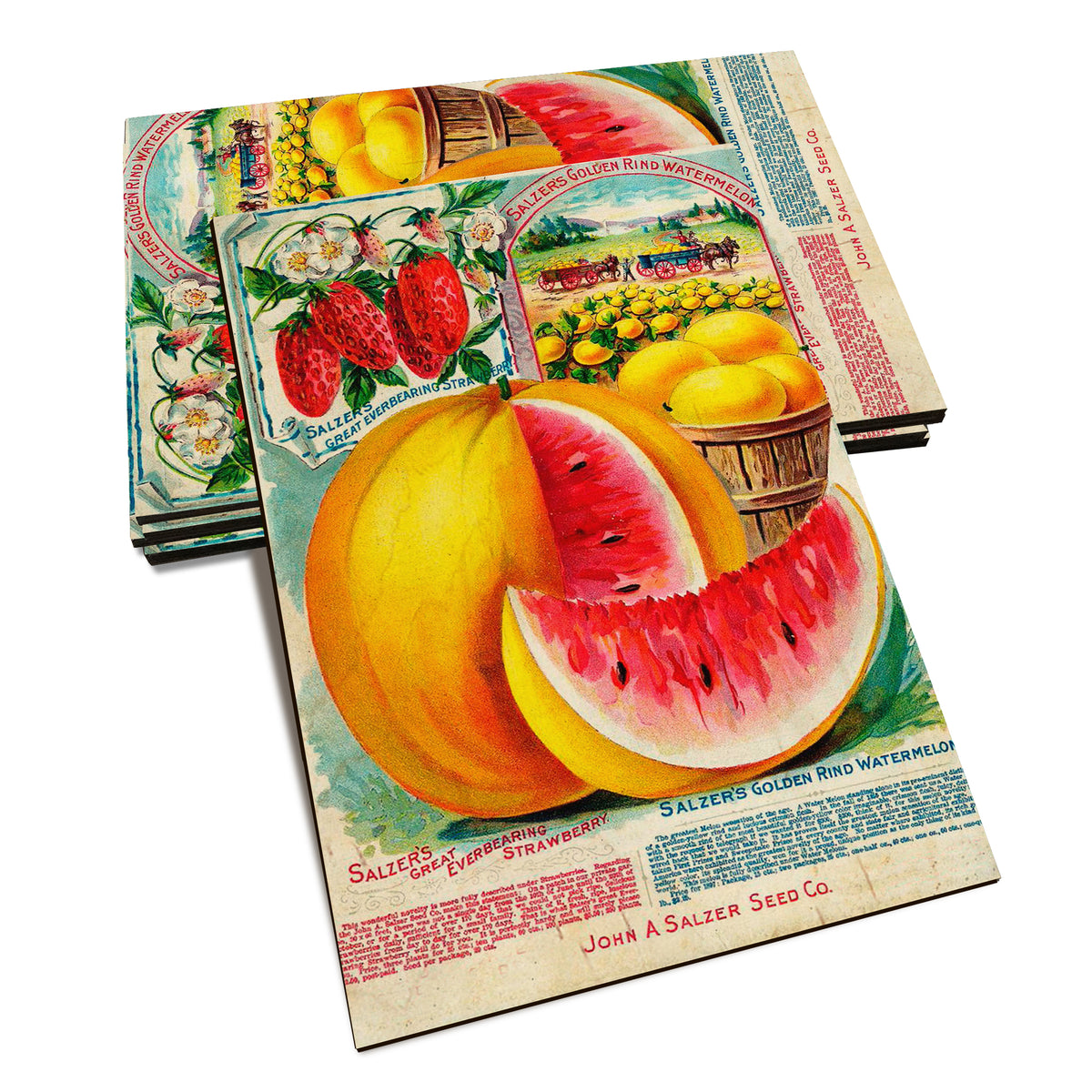 Salzer Melons - Classic Edge Classic Edge Postcard (5pk // $2.80ea)