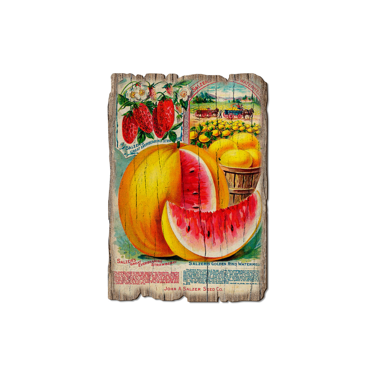 Salzer Melons - Rustic Edge Postcards & Magnets Rustic Edge Magnet (5pk // $2.80ea)