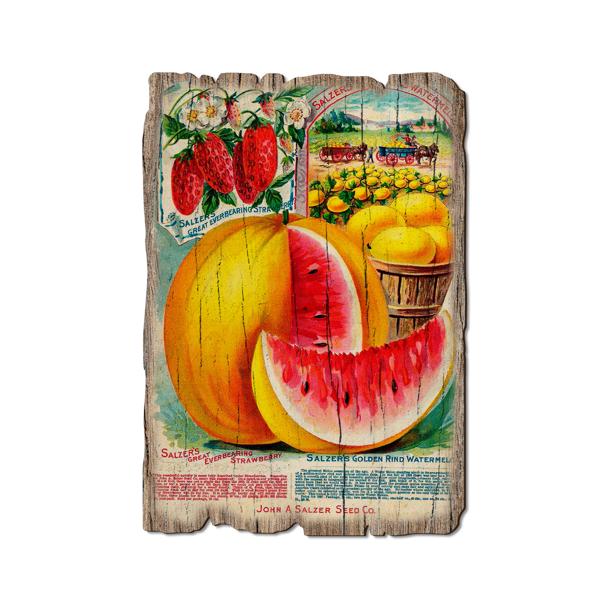 Salzer Melons - Rustic Edge Postcards & Magnets Rustic Edge Postcard (5pk // $2.80ea)