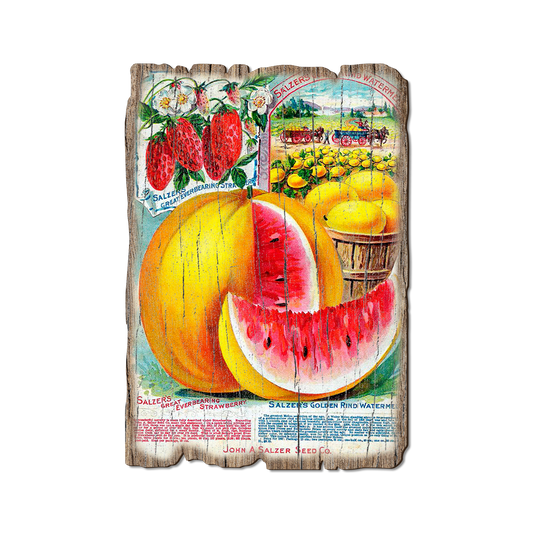 Greeting Card: Weathered Edge - Salzer Mellons