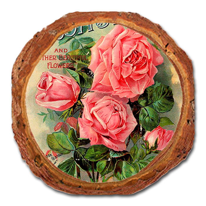 Coaster: Live Edge - Scott's Roses