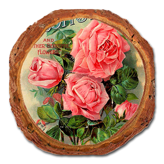 Coaster: Live Edge - Scott's Roses