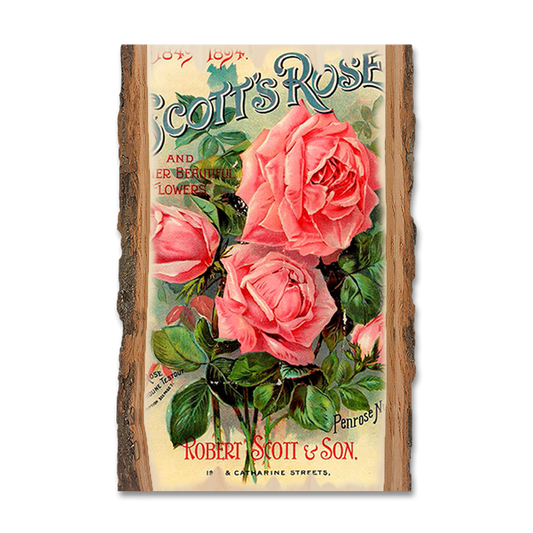 Magnet: Live Edge - Scott's Roses