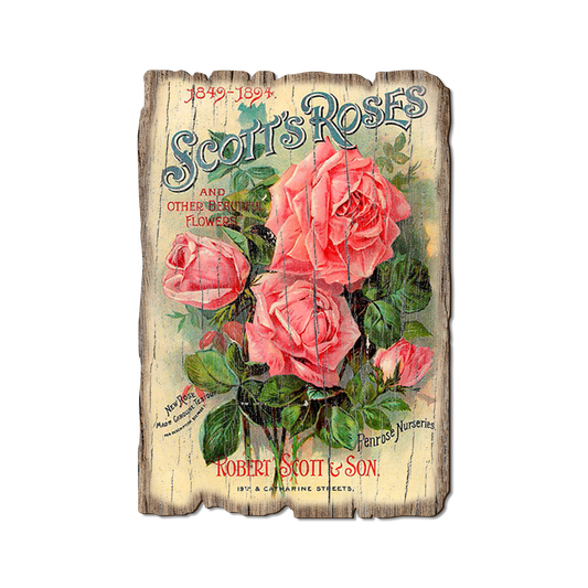 Greeting Card: Weathered Edge - Scott's Roses