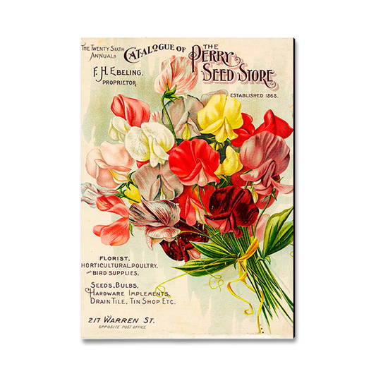 Greeting Card: Classic Edge - Perry Seed