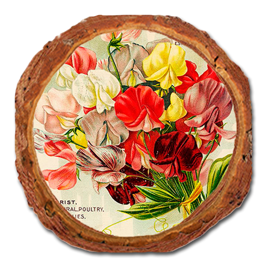 Coaster: Live Edge - Perry Seed
