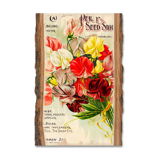 Magnet: Live Edge - Perry Seed