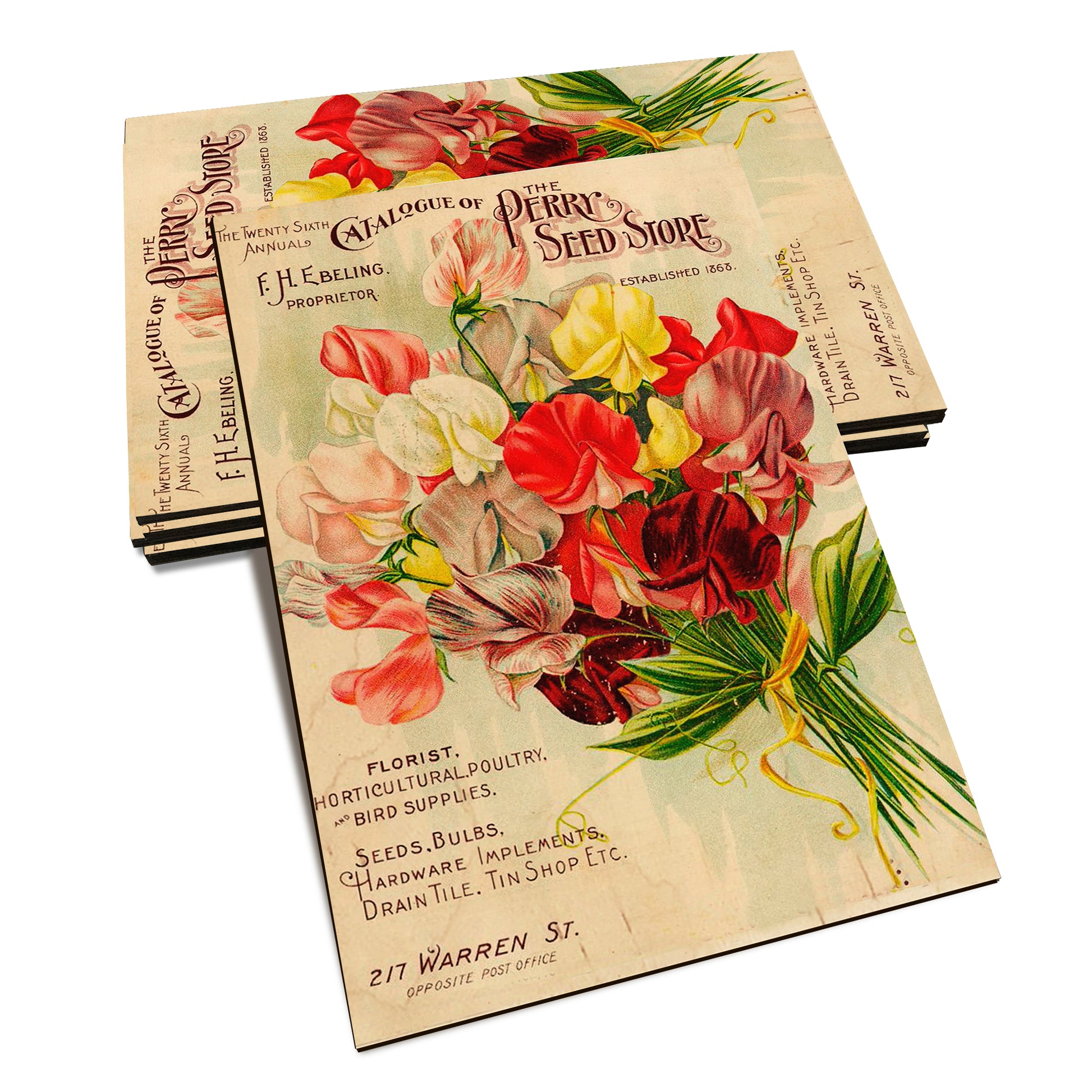 Perry Seed - Classic Edge Classic Edge Postcard (5pk // $2.80ea)