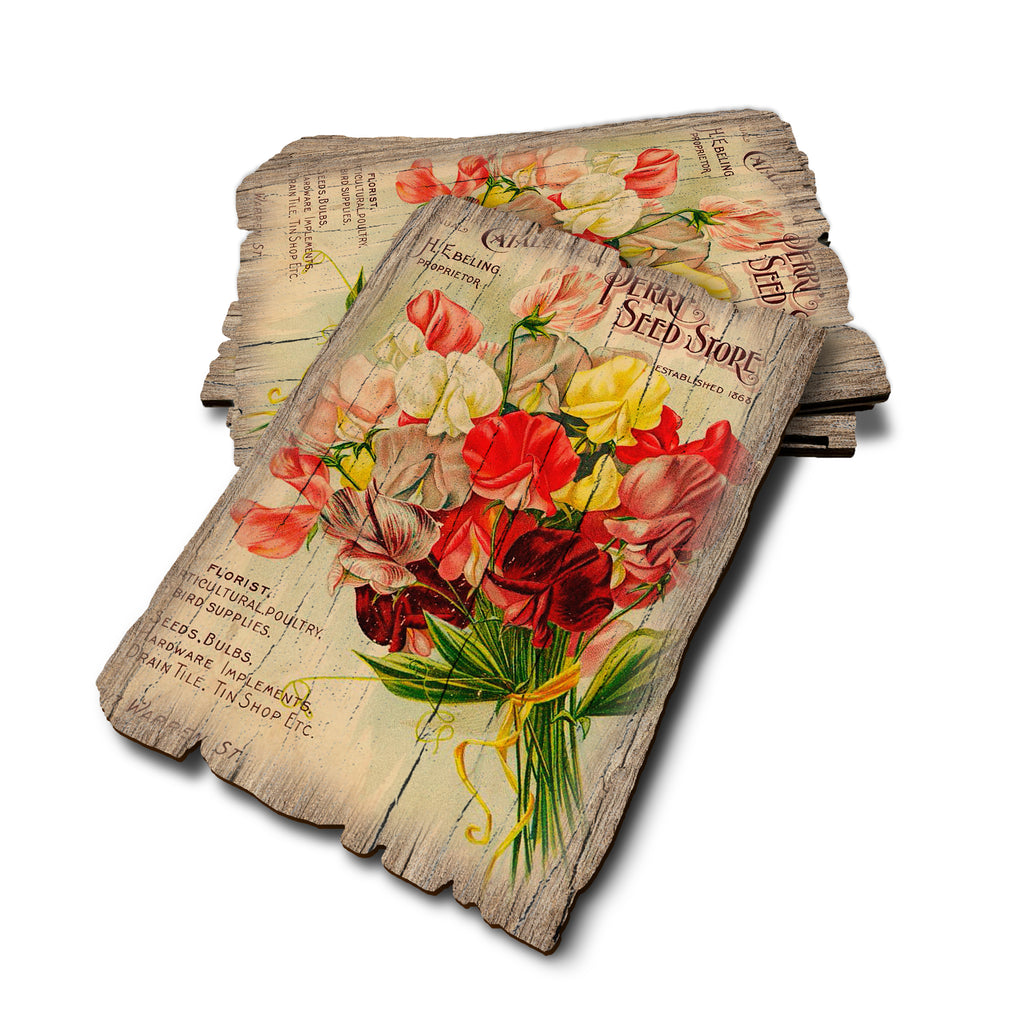 Perry Seed - Weathered Edge Rustic Edge Postcard (5pk // $2.80ea)