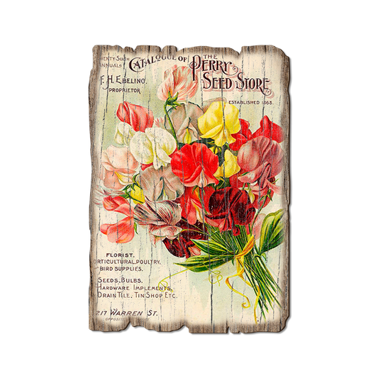 Greeting Card: Weathered Edge - Perry Seed