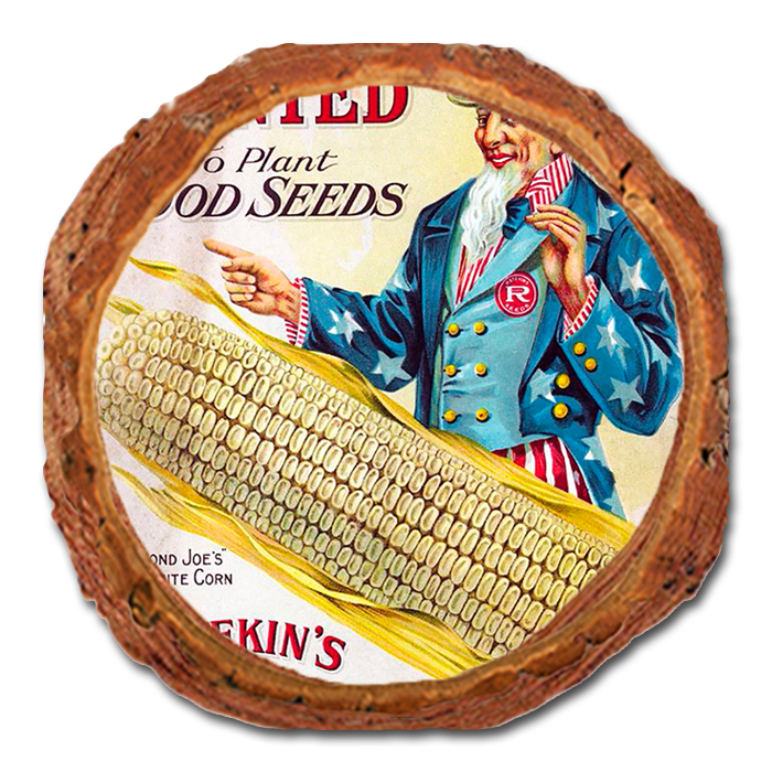 Coaster: Live Edge - Wanted Corn