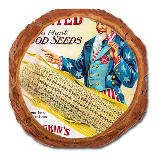 Coaster: Live Edge - Wanted Corn