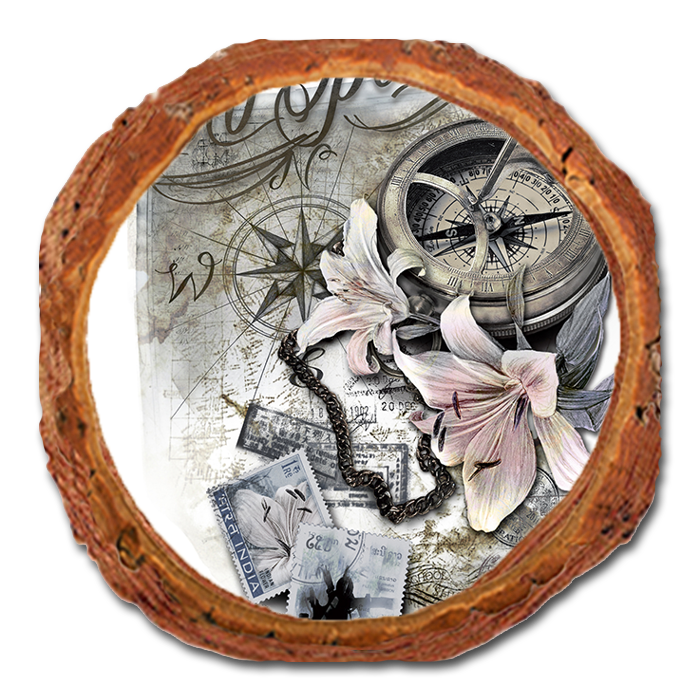 Coaster: Live Edge - Wild Open Sea