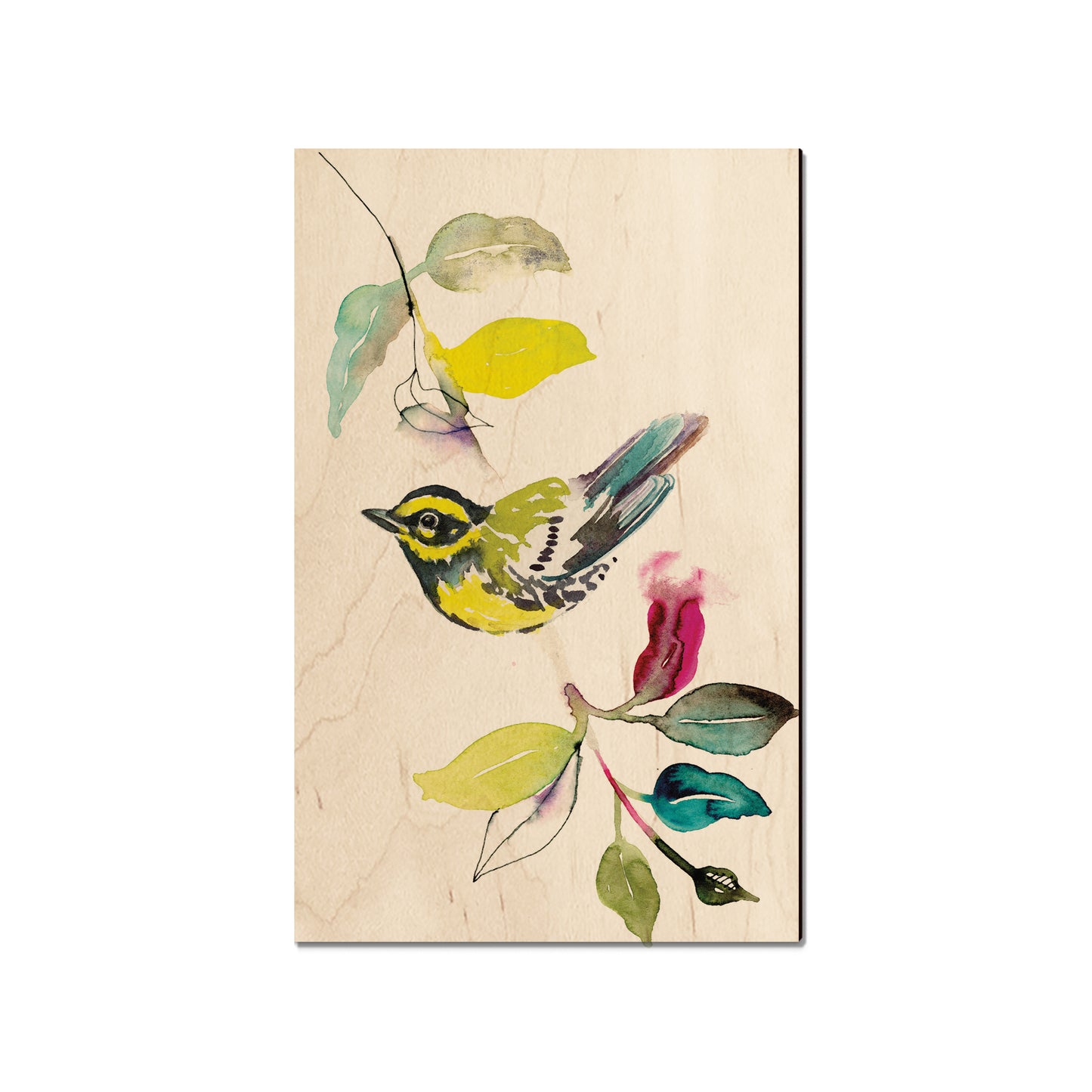 Henning's Branch Warbler - Small Art & Gift Magnet (5pk // $2.40ea)
