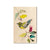 Henning's Branch Warbler - Small Art & Gift Magnet (5pk // $2.40ea)